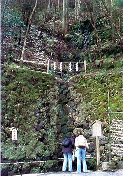 京都の水