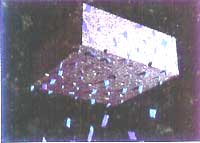 AVbNXi[XEH[J[
